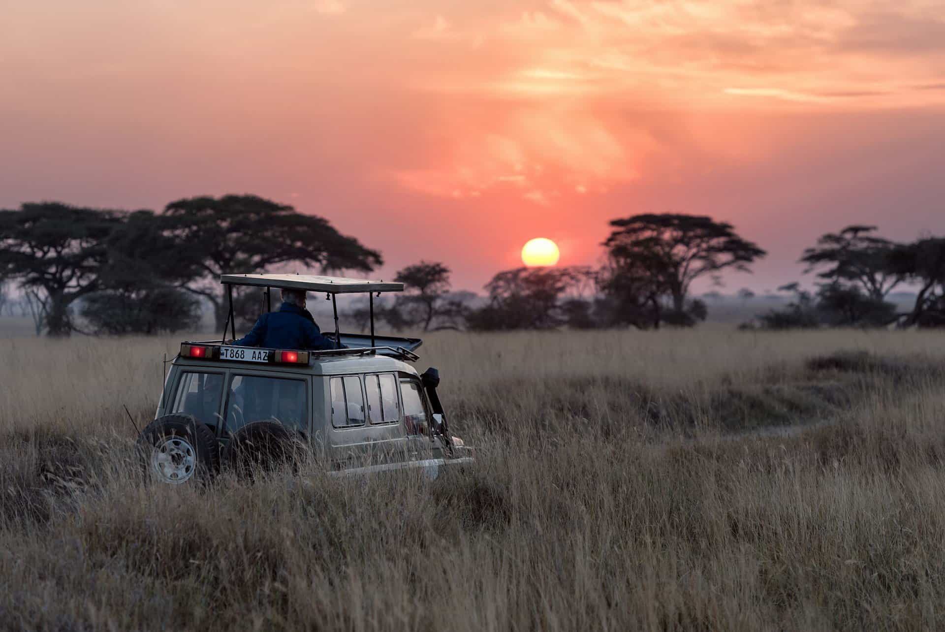 morning drive hu-chen-0LwfbRtQ-ac-unsplash Tanzania