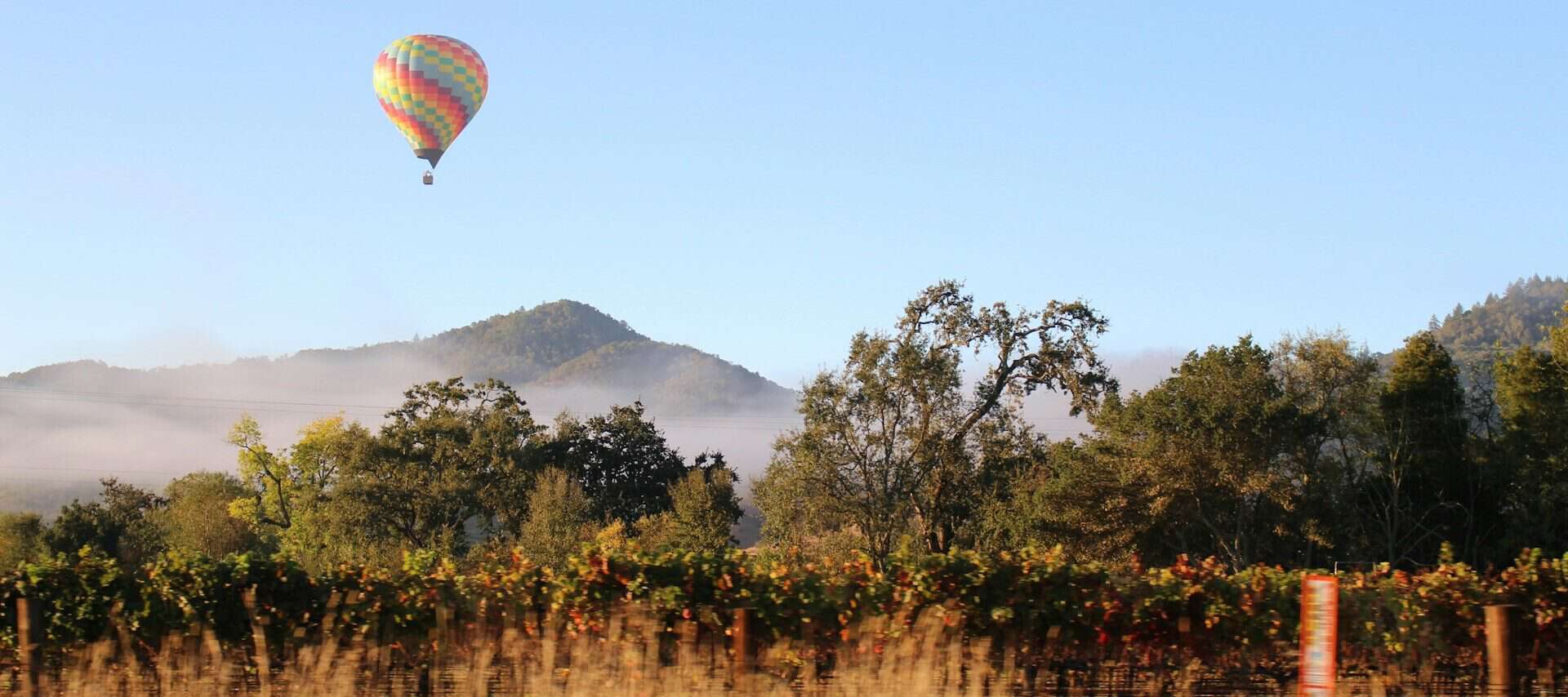 Hot Air Balloon over vineyard bel-r-__EeLCGc_po-unsplash