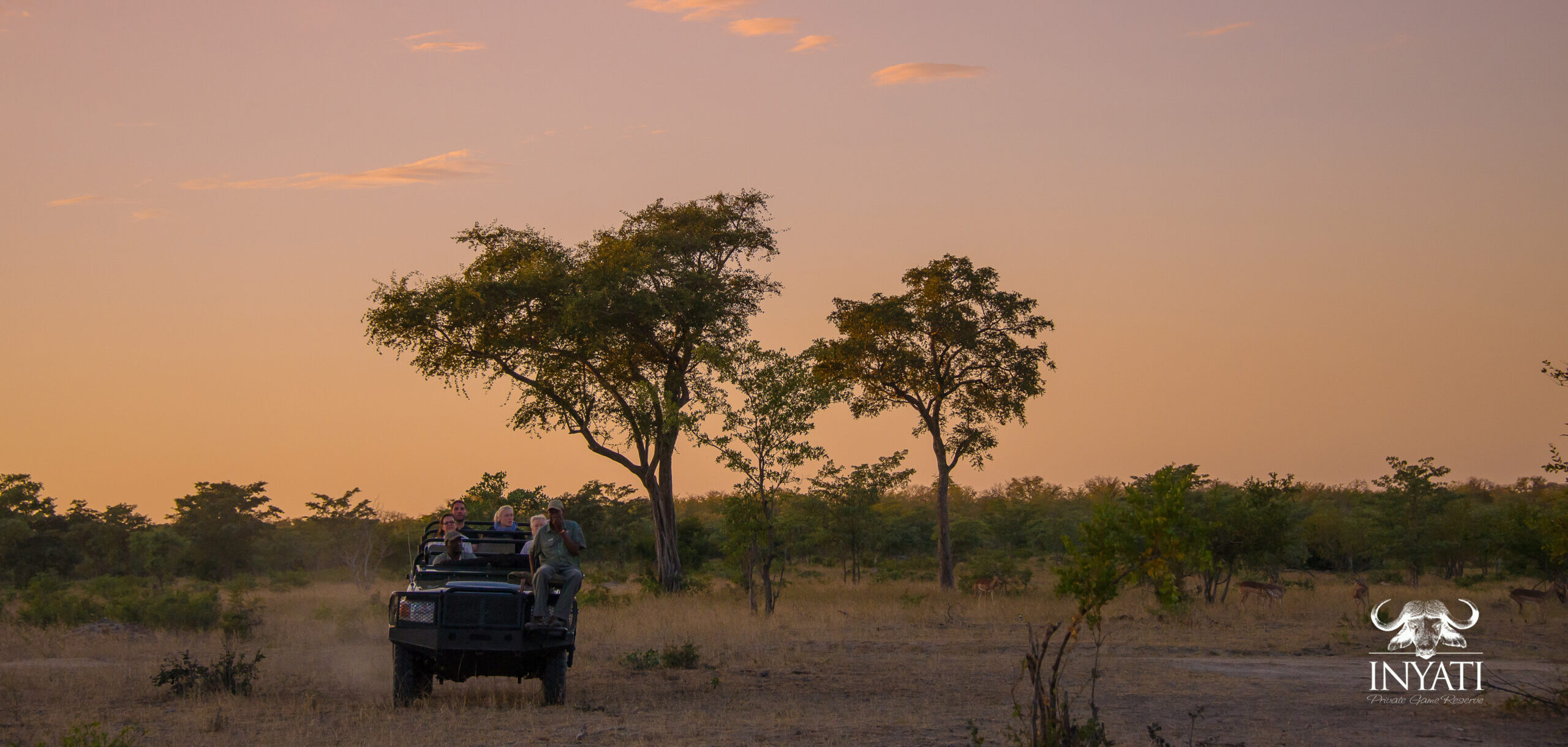 iny_safari_vehicle1