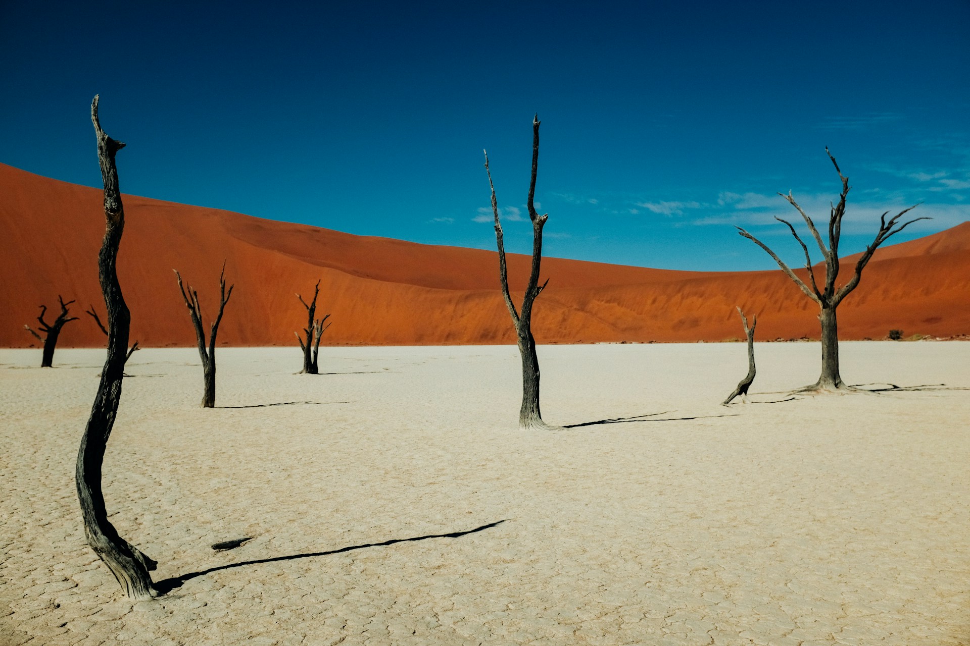 Deadvlei ashim-d-silva-S2Q5mdOrrVc-unsplash